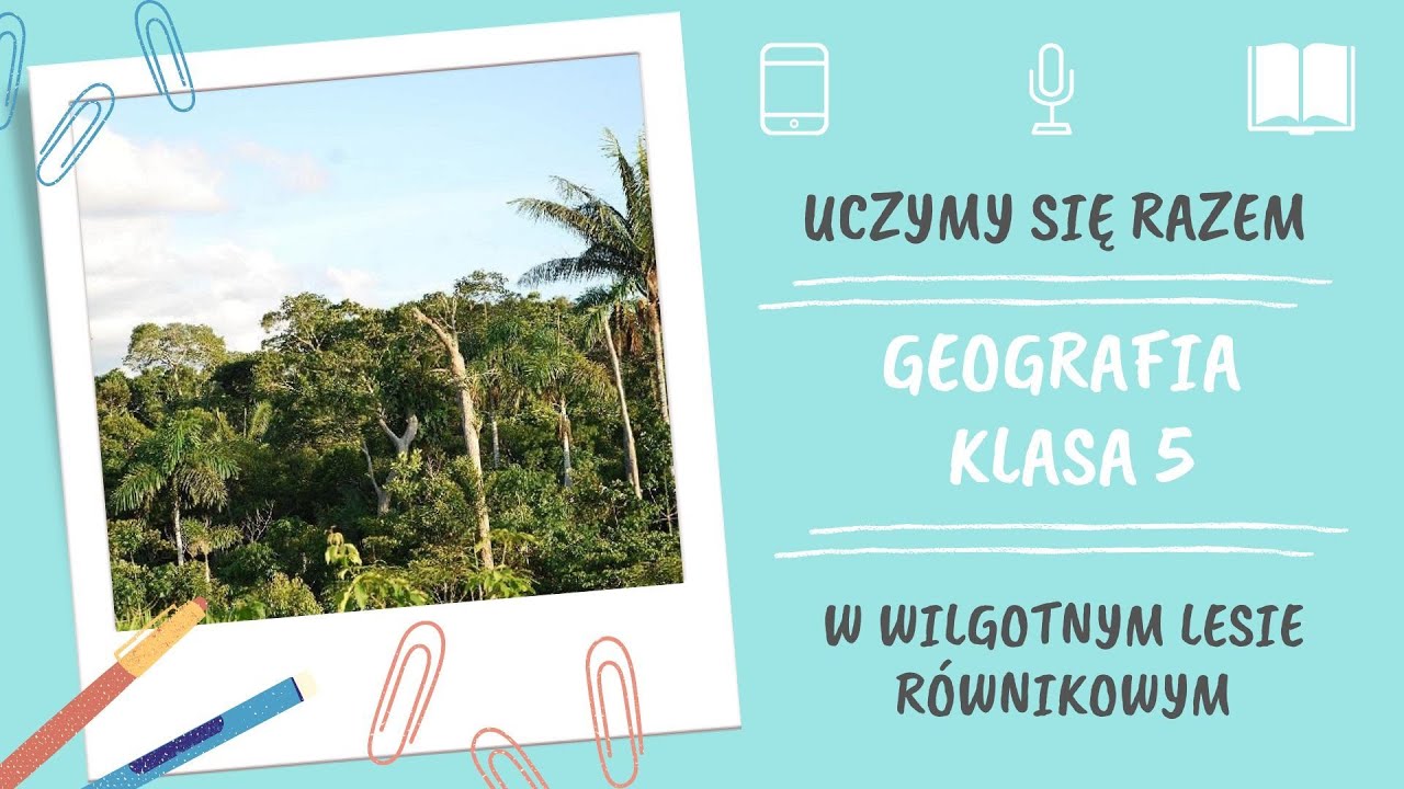 Sprawdzian Z Wiedzy O Lesie Gimnazjum Doc Geografia klasa 5. W wilgotnym lesie równikowym. Uczymy się razem - YouTube