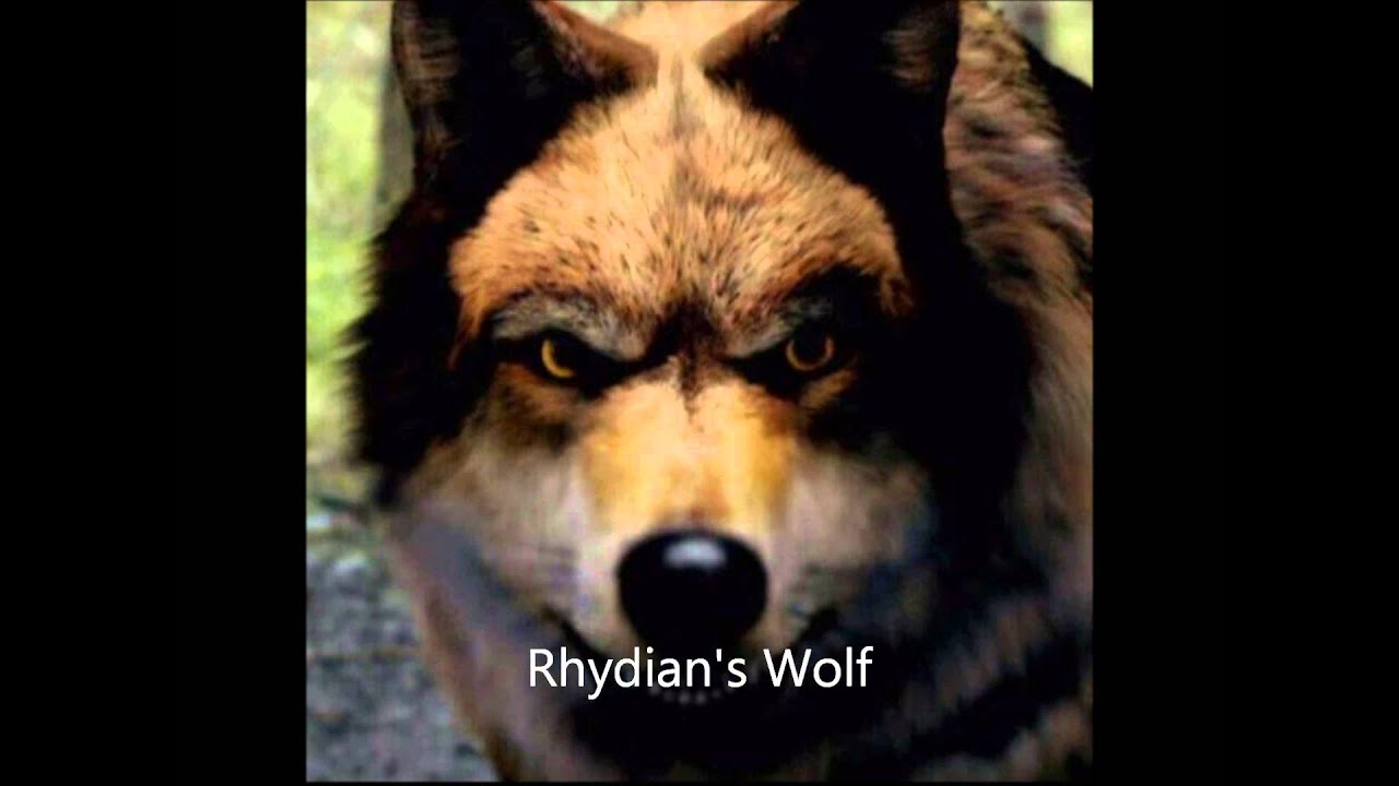 Wolfblood Characters - YouTube