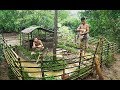 Swimming pool for ducks Around Underground House