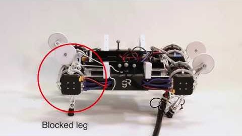 Learning and adapting quadruped gaits with the "Intelligent Trial & Error
