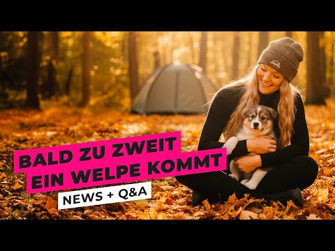 A new chapter begins – a puppy is moving in soon (Q&A)