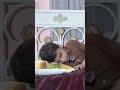 ماں جیسی محبت دنیا میں نہیں ہوتی Motherslove ماں جیسی محبت دنیا میں نہیں ہوتی Motherslove