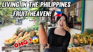 I Can Drive, But What If There’s an Accident in Philippines? 😰