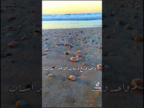 كل اللي معاك في الصوره غاب