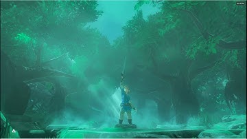 Cemu 1.22.0k BOTW 1080p 60fps | Pulling out Master Sword