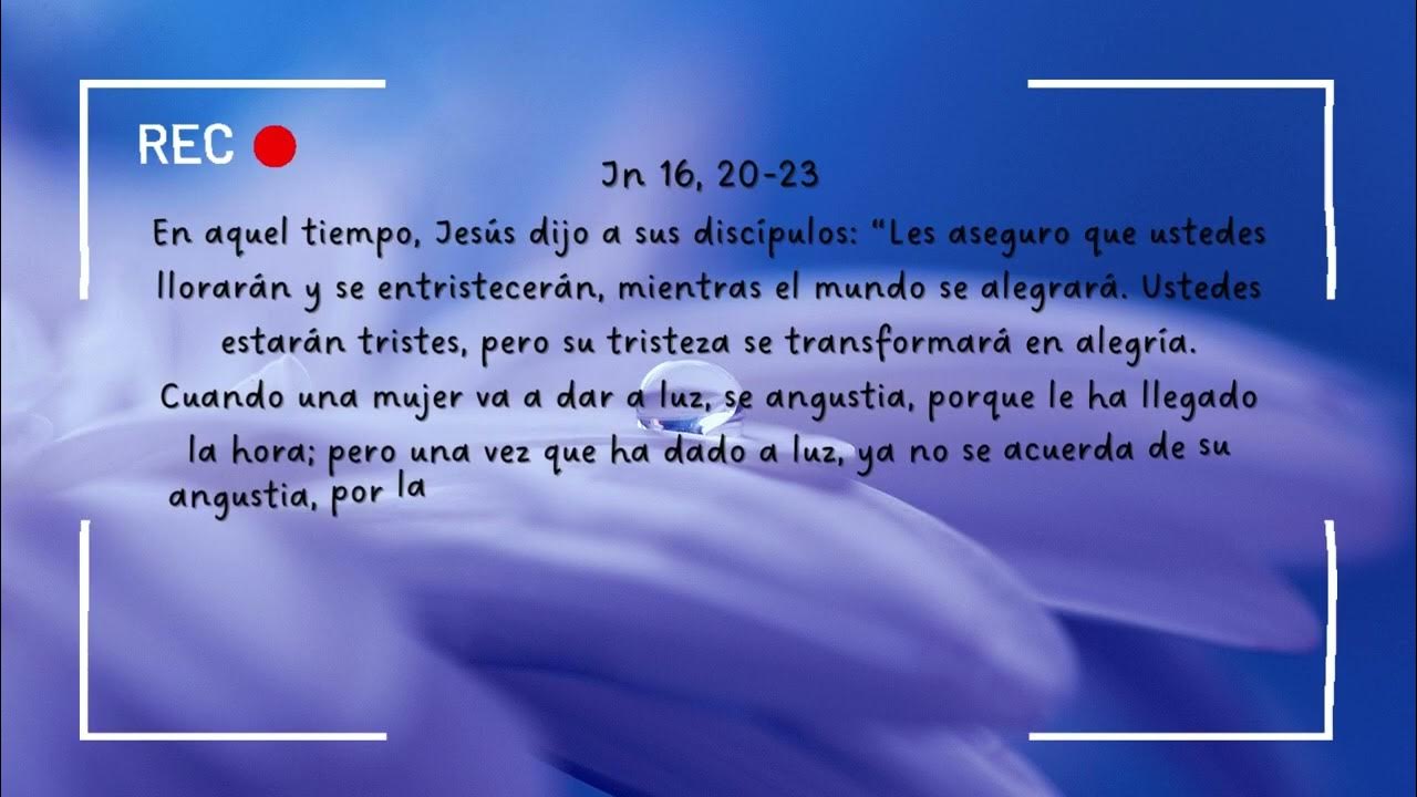 Evangelio de hoy 19 mayo YouTube