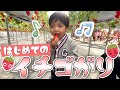 【イチゴ狩り】大好きなイチゴに囲まれて望有くん大興奮☆