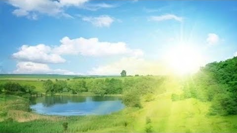 الشيخ ياسين الجزائري - تلاوة مؤثرة من سورة المائدة