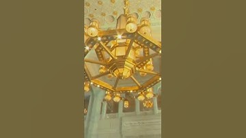 تلاوة فضيلة الشيخ أ.د. عبدالله الجهني في ندوة الفتوى في الحرمين الشريفين | ذو القعدة 1443هـ.