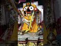 Jay Jagannath Swami Nayana Patha Gami