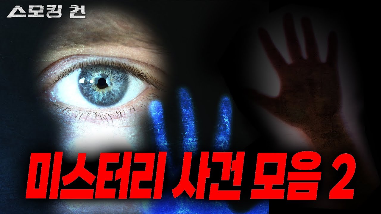 이해 불가능한 미스터리한 사건들 [스모킹 건 몰아보기]