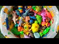 Learn Amazing Sea Animals for Kids 🐳 | Shark, Orca, Octopus & More!