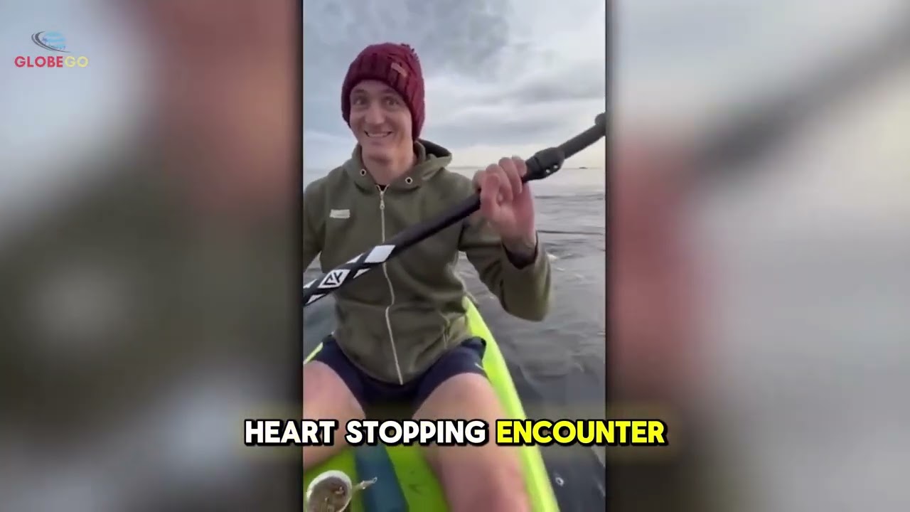 SHOCKING Footage of Ocean Monster Emerges Near California Revealing Secrets Scientists Can’t Explain