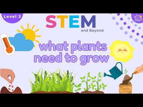 What Plants Need To Grow | Ks1 Science Year 2 Stem Summer Camp