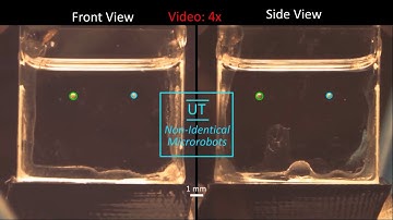Ongaro et al. - TRO 2018 - Surgical Robotics Lab