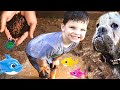 MAKING MUD PIES with CALEB! Family PLAYS OUTSIDE catching bugs Fun Day Routine! BACKYARD ADVENTURES!