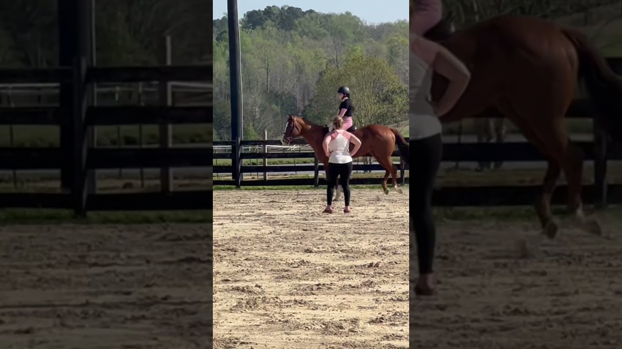 Coulda rode that a lot better but Bitsy was perfect yesterday