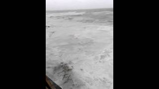 Death Wale Cascais coast - Baleia morta praia da parede | Lisboa 10/01/2016