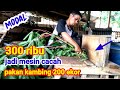 MESIN CACAH MODAL 300 RIBU