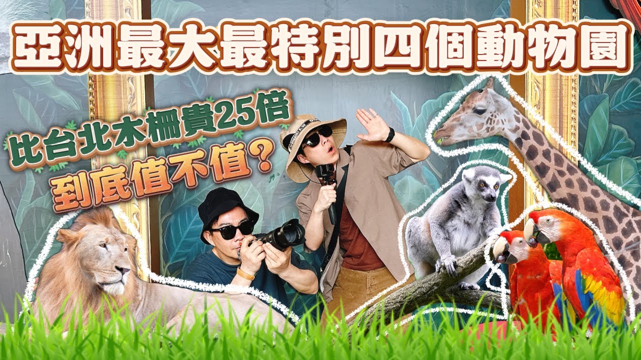 《老吳來趣玩#新加坡動物園》比台北木柵貴25倍的新加坡動物園到底值不值得玩!!