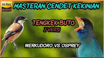 🔴 MASTERAN CENDET TENGKEK BUTO 2 VERSI [Werkudoro vs Osprey]