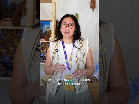 Mieles monoflorales y org&aacute;nicas: producci&oacute;n sustentable con alto valor agregado