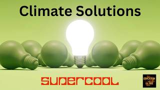 Climate Solutions Are the Future of Business — and Young People Can Be Part of It