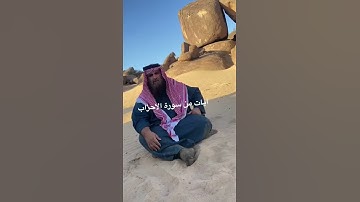 دحيم الحماد 1444ه آيات من سورة الاحزاب
