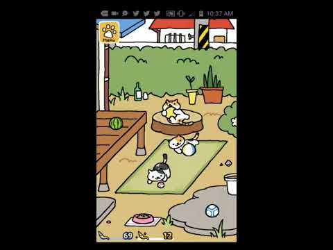 Spots Sunny And Breezy Neko Atsume Kitty Collector