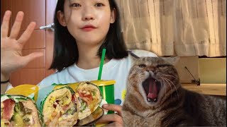 Living with cats, Subway tuna combo