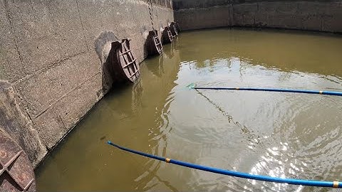 Kích Cá Trong Trạm Bơm Bắt Cá Lóc, Rô Đồng Khi Máy Bơm Hút Lên Bể Chứa Nước Mà Không Ai Biết