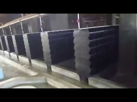 CRAB FARM - video from Dahui Aquaculture