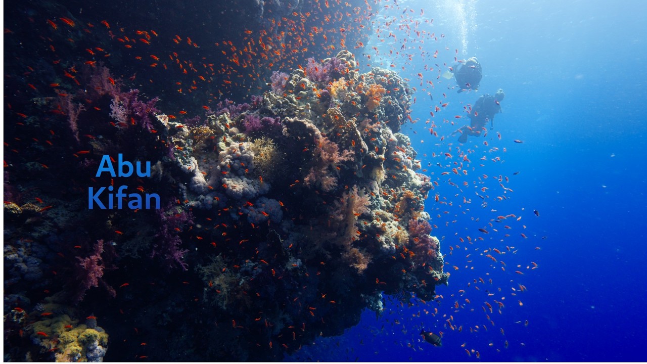 Abu Kifan South | Red Sea | Safaga | Egypt | 4k | 🎵Dawncall