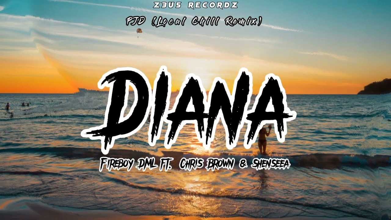 Diana - Fireboy DML ft. Chris Brown & Shenseea (PJD Local Chill  Remix)