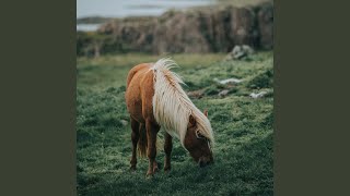 Download Lagu Laugin MP3