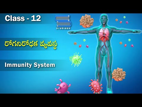 రోగనిరోధక వ్యవస్థ – Immunity System | Health and DIsease | Biology Telugu | Class 12 Bipc