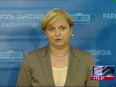 ევროპარლამენტის დელეგაცია მხარს უჭერს უვიზო მიმოსვლის!