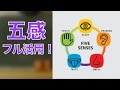 【暗記法】五感を使えば記憶に残る