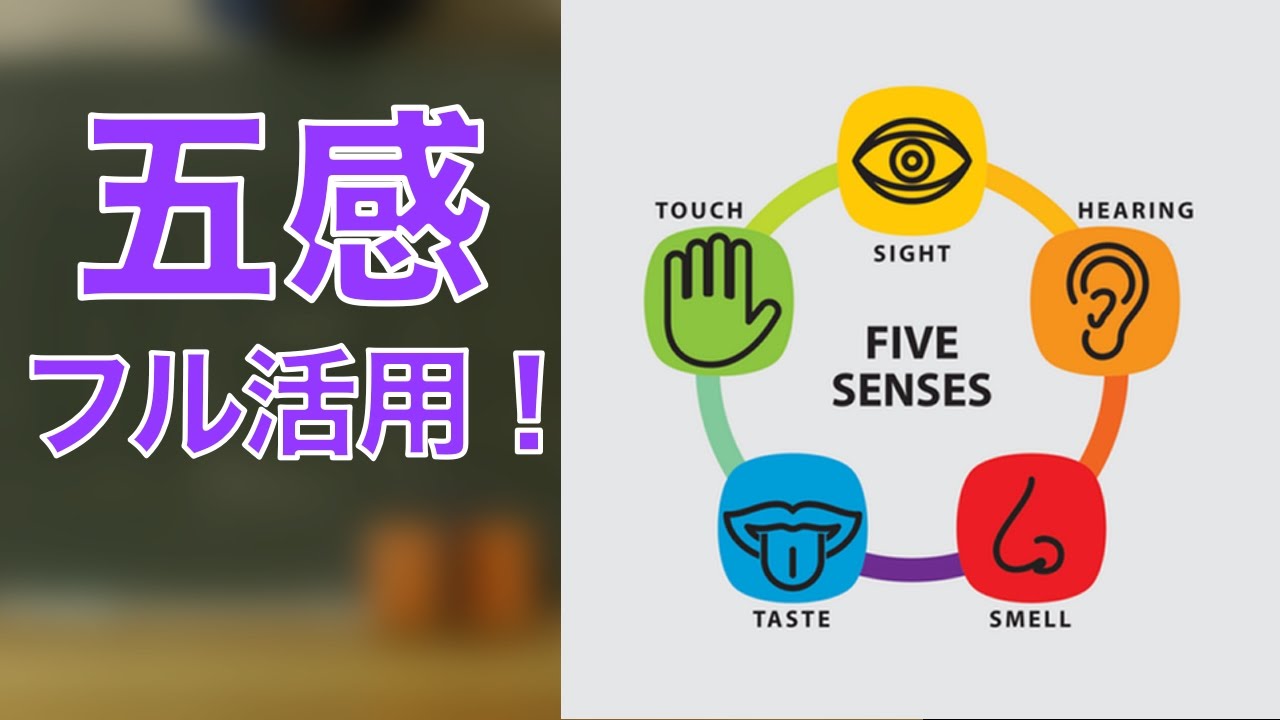 五感に – 五感に働きかける – BREQ