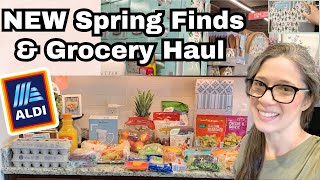 ALDI Shop with Me and Haul | Walmart and Lidl Haul | Spring Aldi Finds