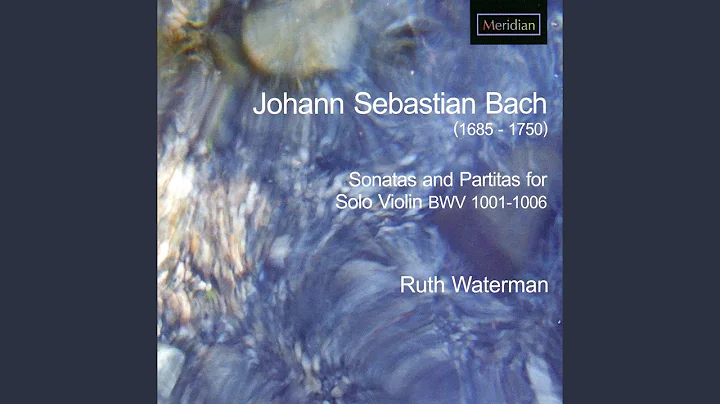Violin Partita No.2 in D Minor, BWV 1004: V. Chaco...