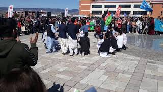 Afghan dance 2019