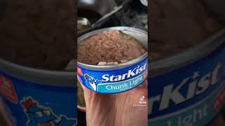 ASMR tuna mac n cheese #shorts