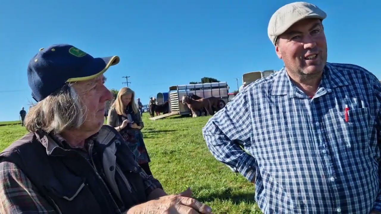 Puck Fair, Killorglin, Co Kerry Horse Fair 10 August 2022