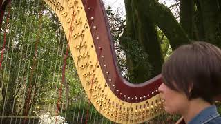 Video 5 thumbnail for Carys Ann Evans