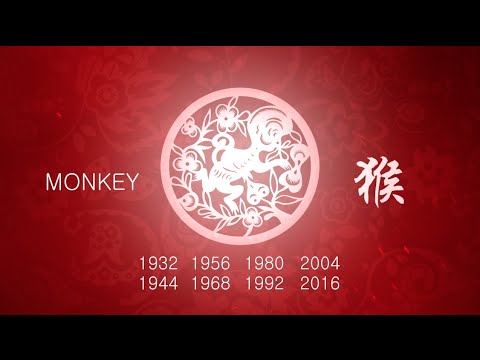 Video: Year Of The Monkey. How Are We Resting In 2016?