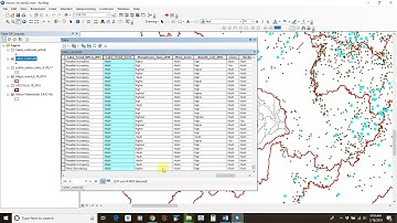 Field Calculating Attributes in ArcMap
