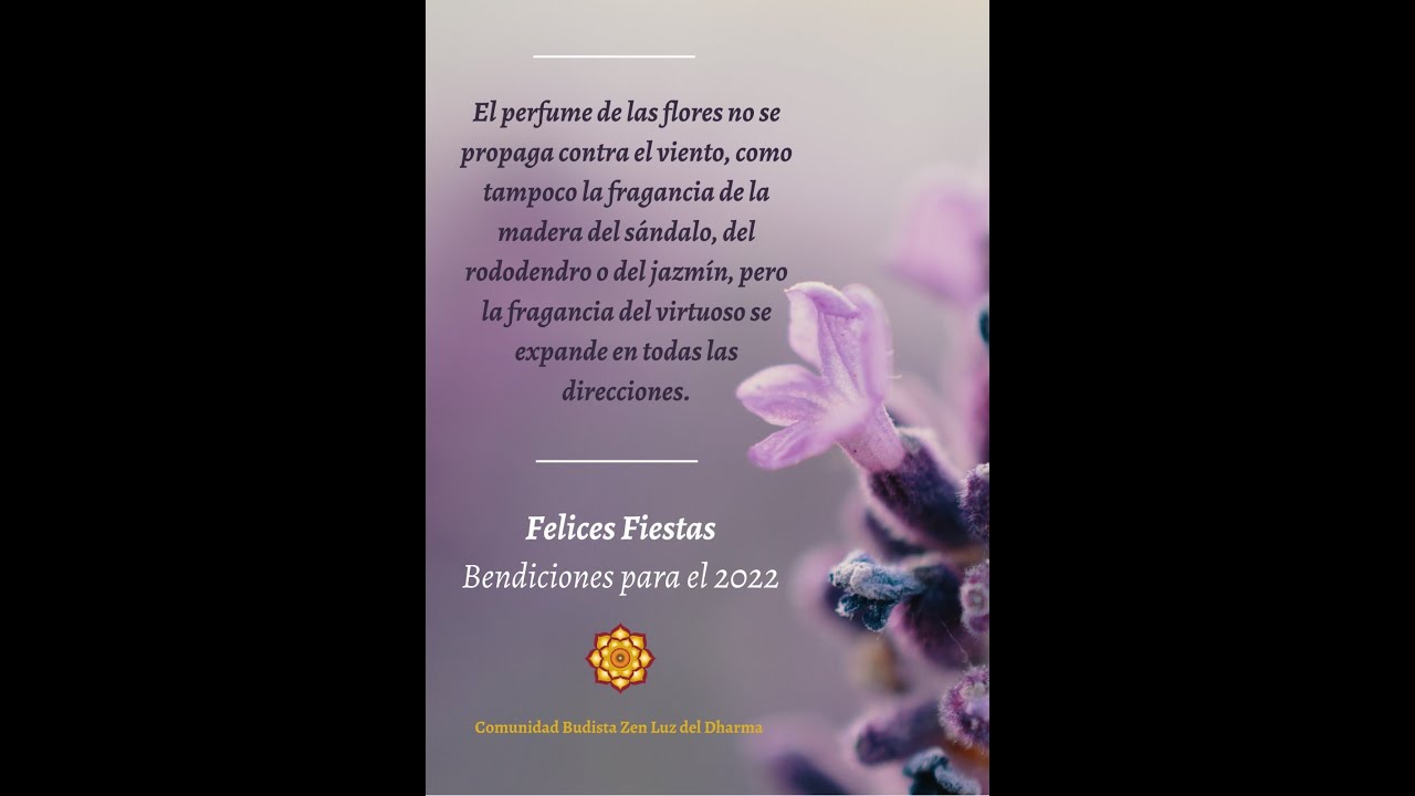 MEDITACIÓN ZEN - ONLINE