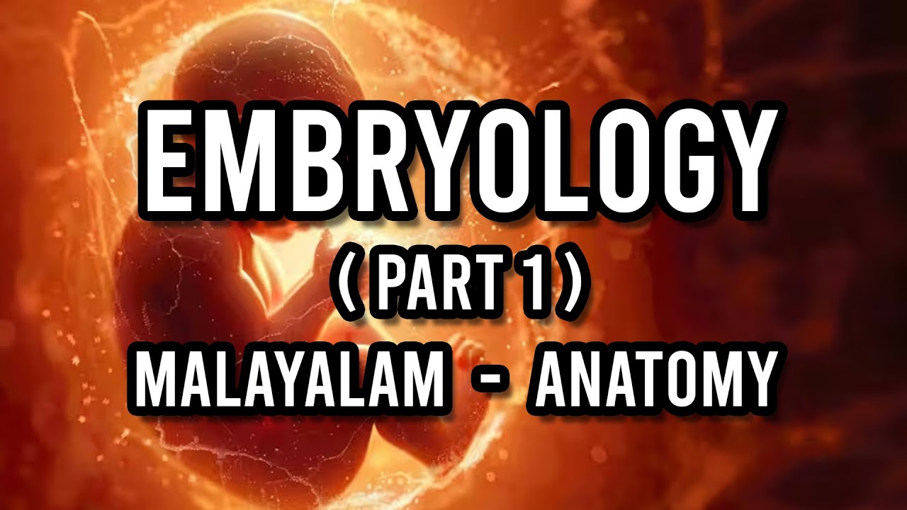 Embryology Part 1 | Anatomy ( Malayalam )
