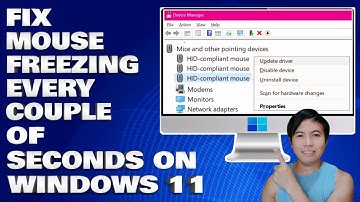 How To Fix Mouse Freezing Every Couple Of Seconds on Windows 10/11